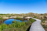 Amrum 2023 Dünenweg- 0031