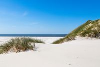 Amrum 2023 Dünenweg- 0142