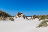 Amrum 2023 Dünenweg- 0145