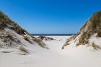 Amrum 2023 Dünenweg- 0155