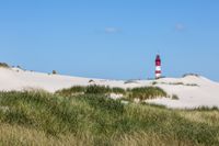 Amrum 2023 Dünenweg- 0177