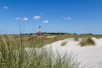 Amrum 2023 Dünenweg- 0249