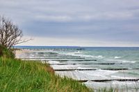 Zingst 2022 - 0100