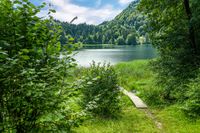 Freibergsee 2019 - 0018